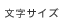 文字サイズ